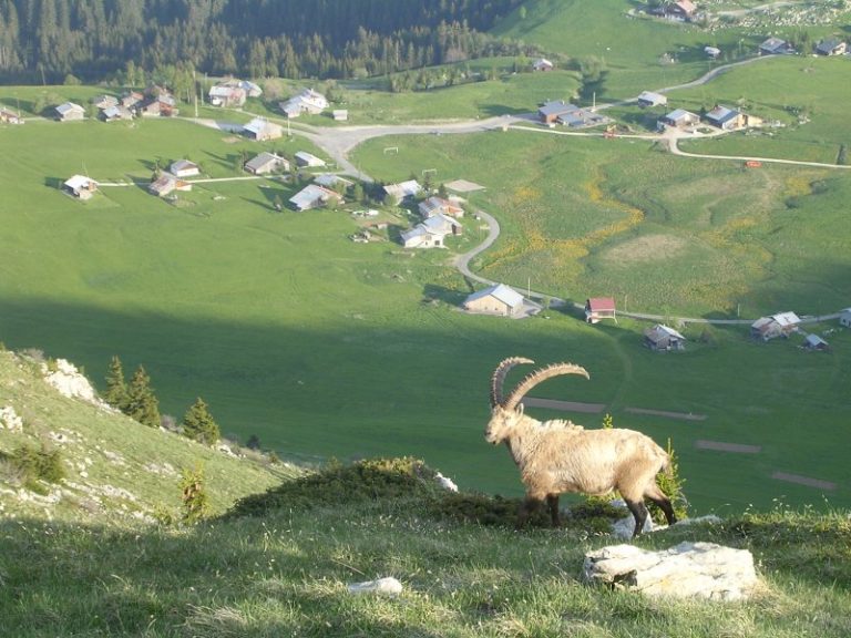 Plateau de Solaison in Alta Savoia, arrivo della tappa 8 del Tour Auvergne-Rhone-Alpes 2026