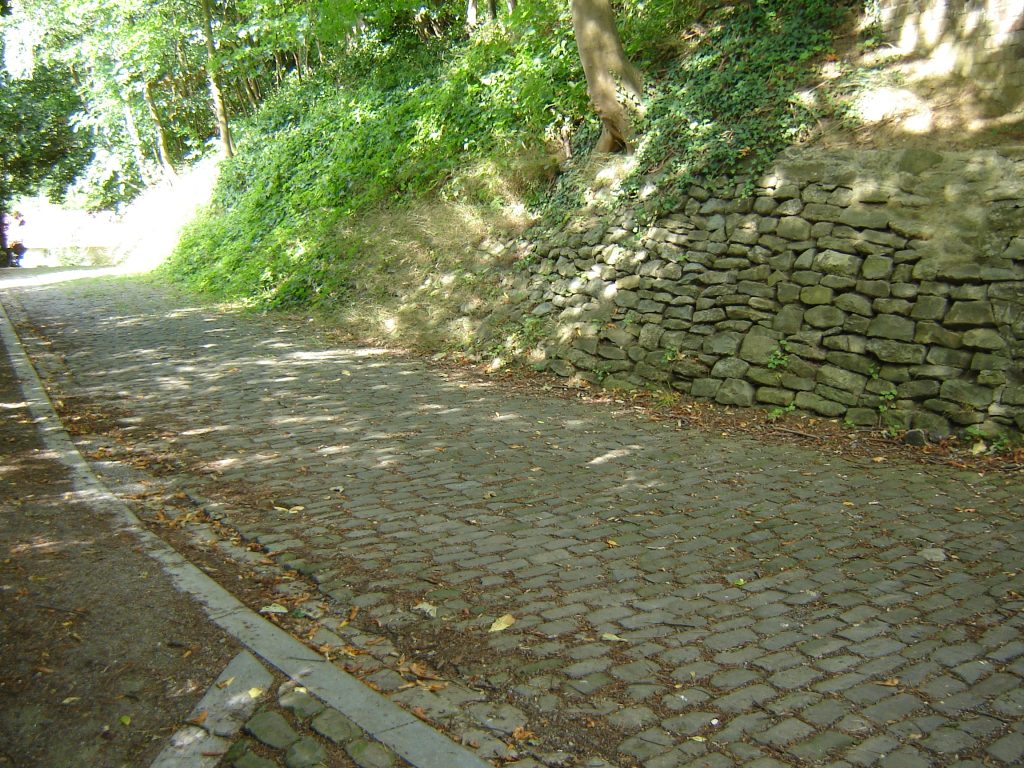 Muur van Geraardsbergen, salita decisiva del Renewi Tour