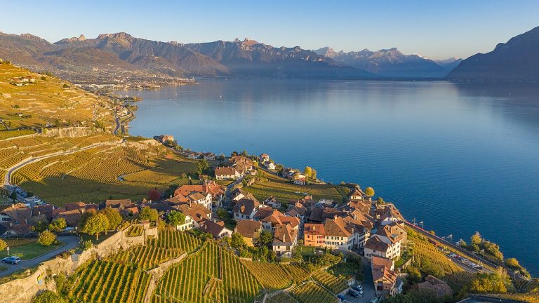 Vigneti terrazzati del Lavaux nel Canton Vaud vicino a Losanna