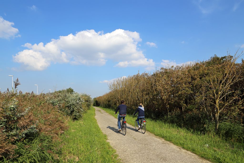 Pista ciclabile tra Blankenberge e Zeebrugge per il Renewi Tour