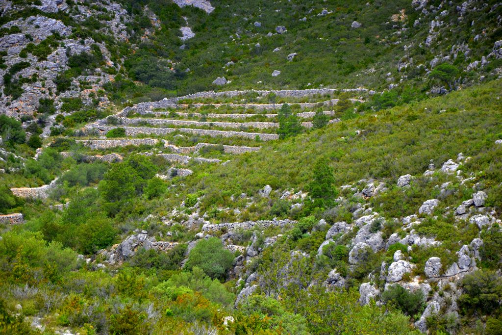 Paesaggio delle Terres de l Ebre vicino a Roquetes per la tappa 5 della Vuelta 2026