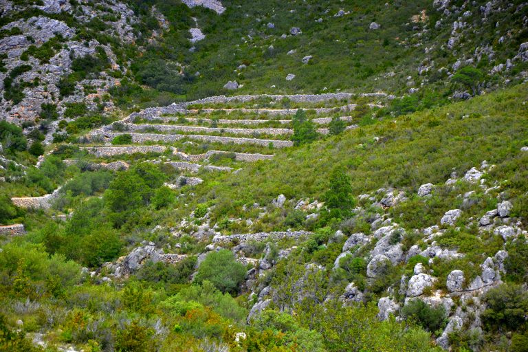 Paesaggio delle Terres de l Ebre vicino a Roquetes per la tappa 5 della Vuelta 2026